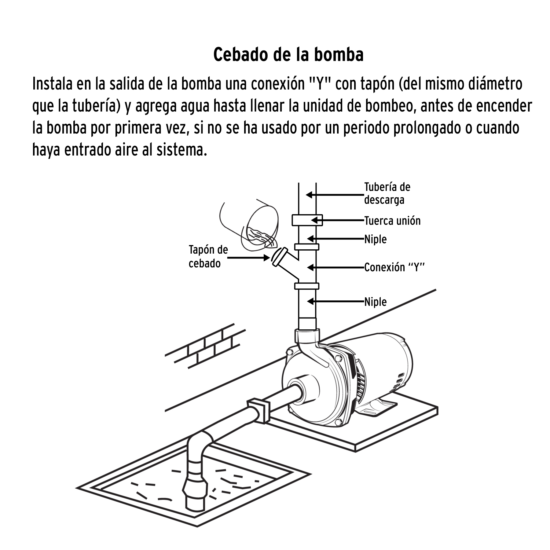 Bomba centrífuga para agua, 1/2 HP, TRUPER EXPERT - Imagen 5