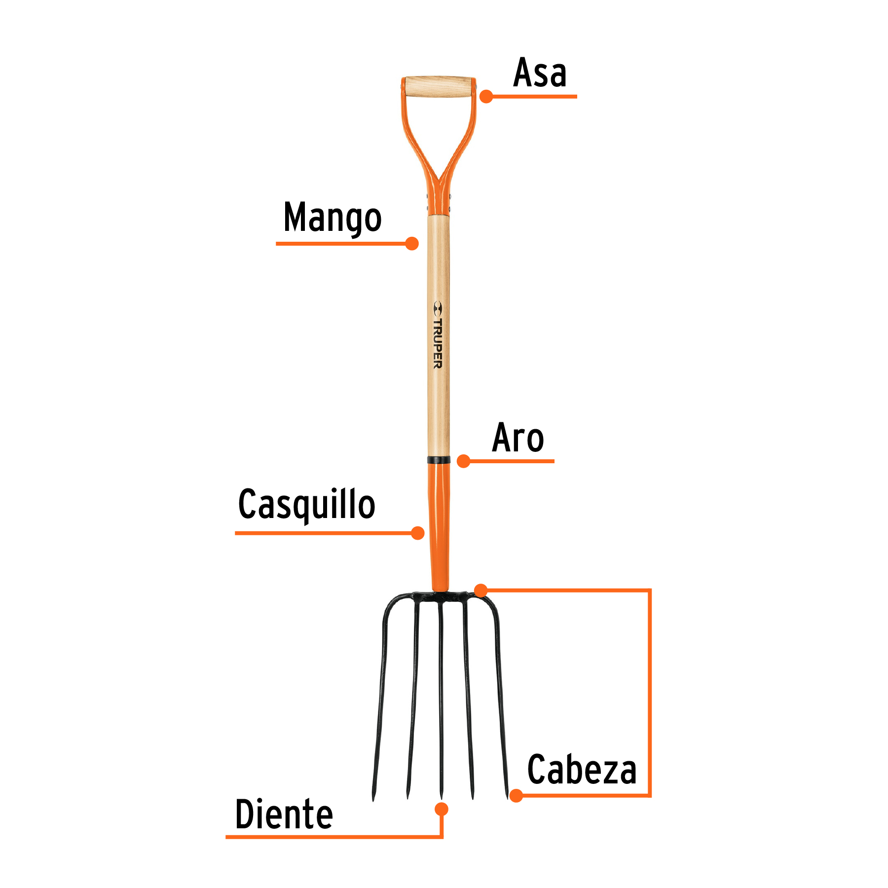 Bieldo para paja, 5 dientes, mgo 34', puño 'Y', TRUPER - Imagen 2