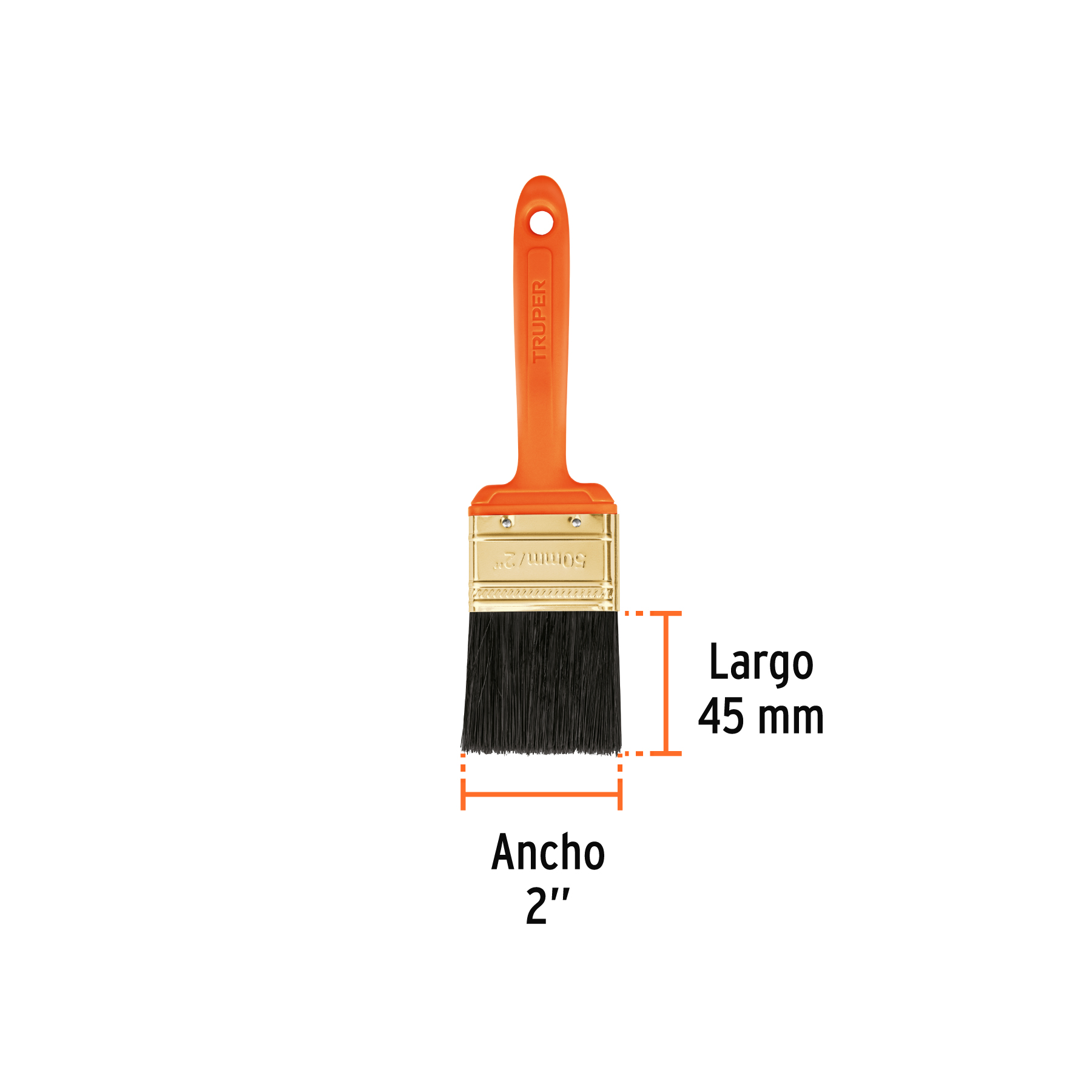 Brocha profesional de 2' con mango de plástico, Truper - Imagen 3