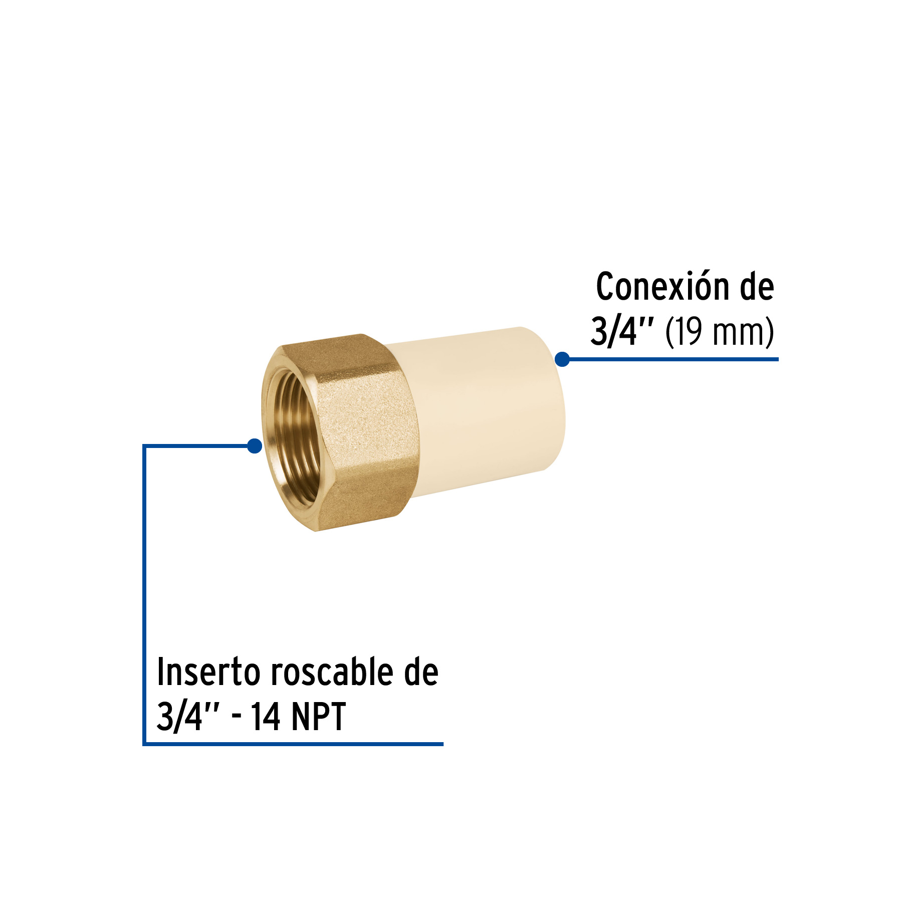Adaptador hembra de CPVC 3/4' con inserto de latón, FOSET - Imagen 2