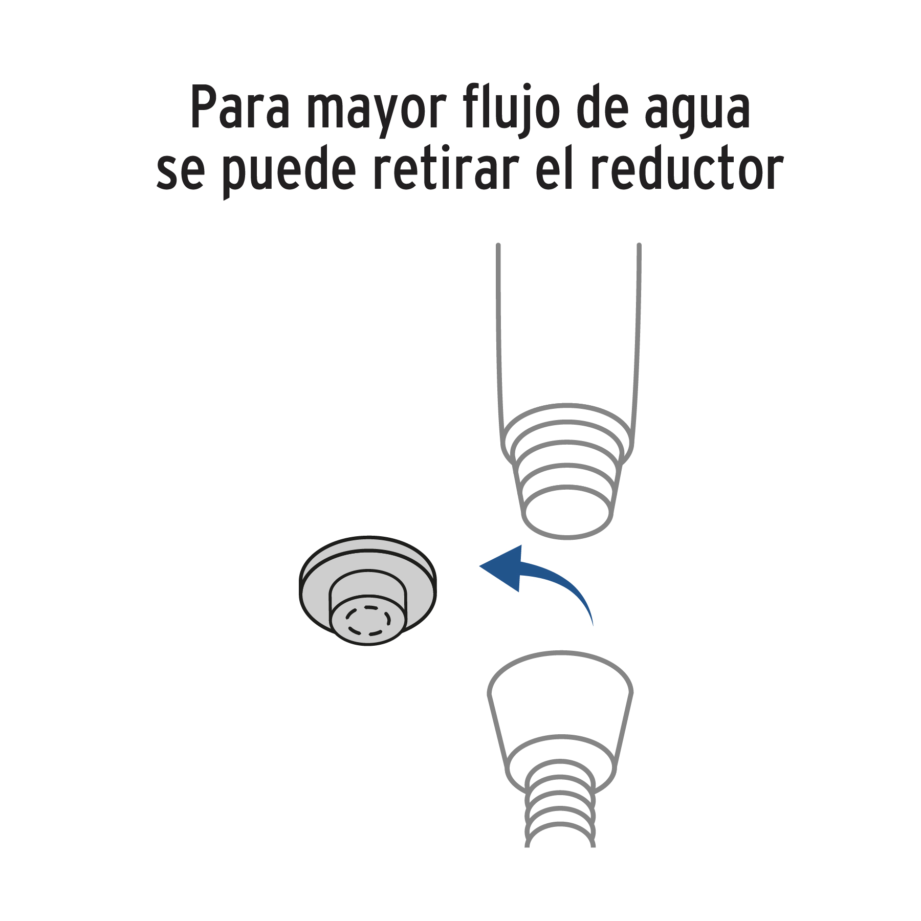 Regadera de teléfono con soporte, satín, FOSET RIVIERA - Imagen 2